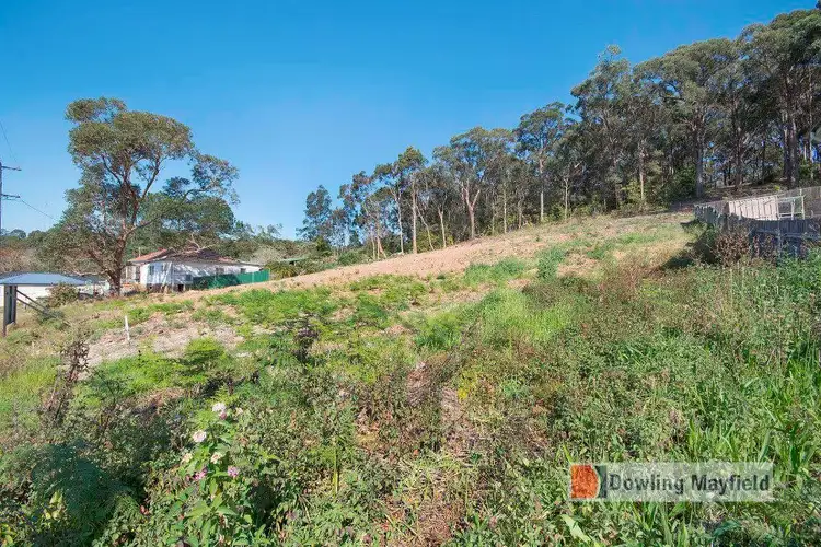 166 Cardiff Road, Elermore Vale NSW 2287