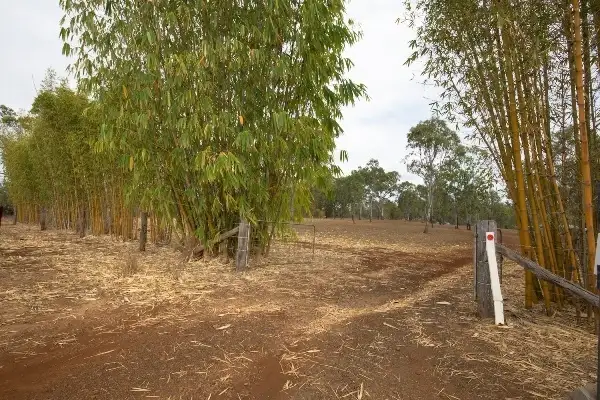 Second view of Homely rural property listing, 15 Tessellaris Trail, Gin Gin QLD 4671