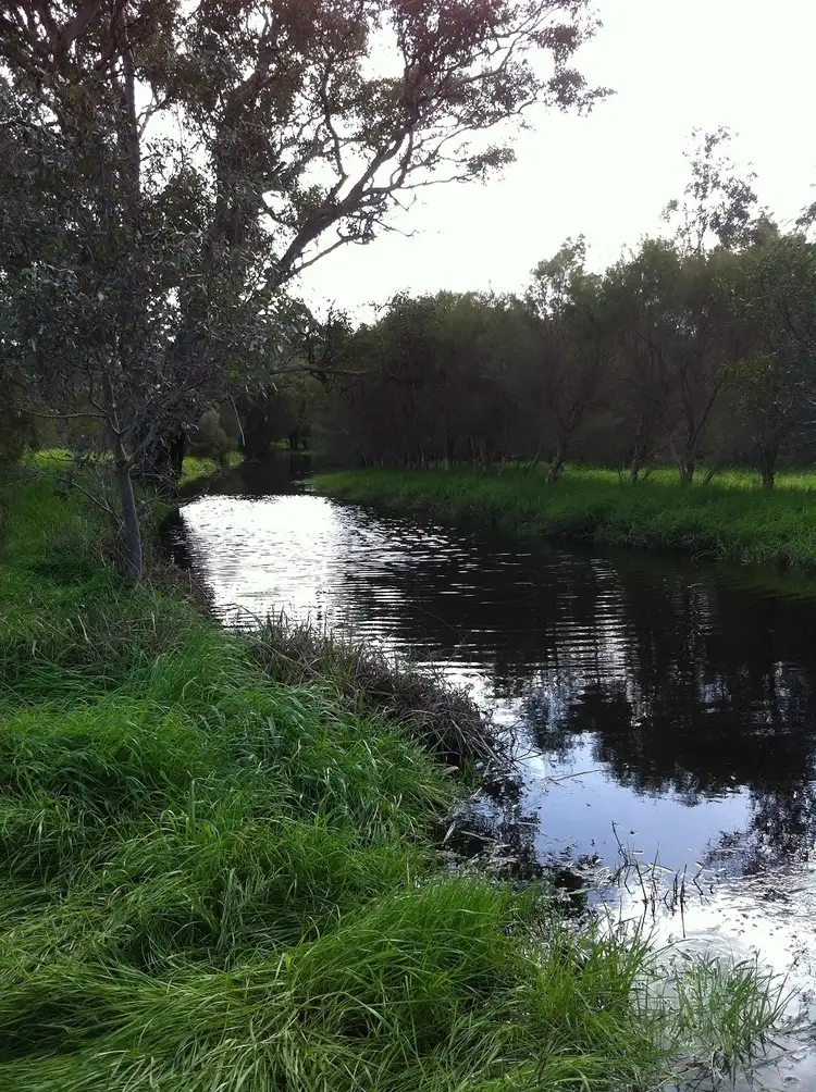Seventh view of Homely land listing, 20 Cruse Road, Belhus WA 6069