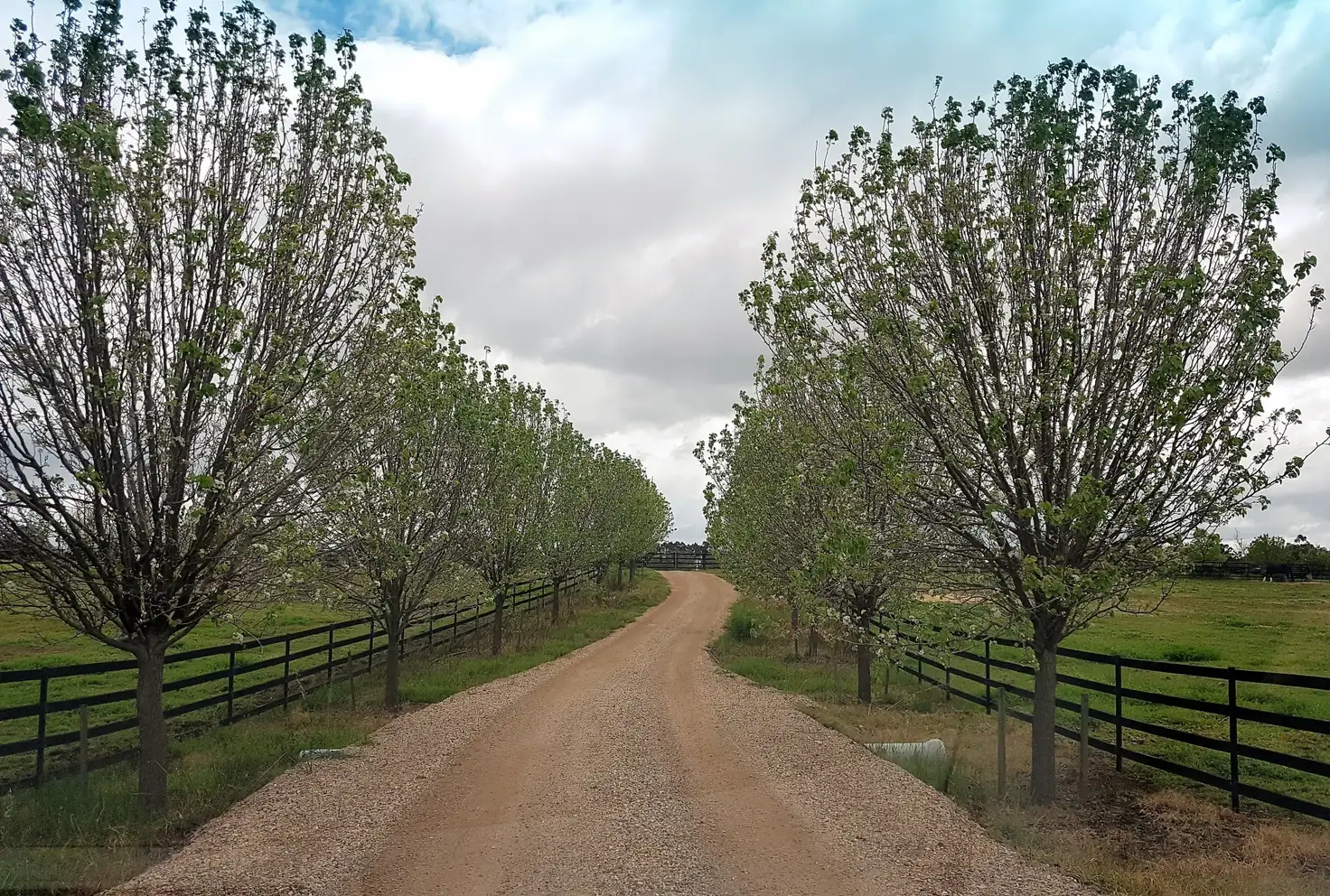 Main view of Homely land listing, 20 Cruse Road, Belhus WA 6069