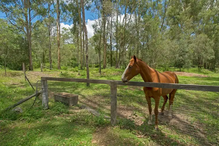 Main view of Homely rural property listing, 107-117 Palomino Rd, Tamborine QLD 4270