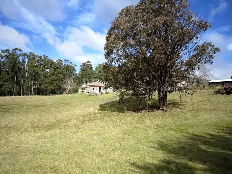 Main view of Homely rural property listing, 56 Priestleys Lane, Birralee TAS 7303