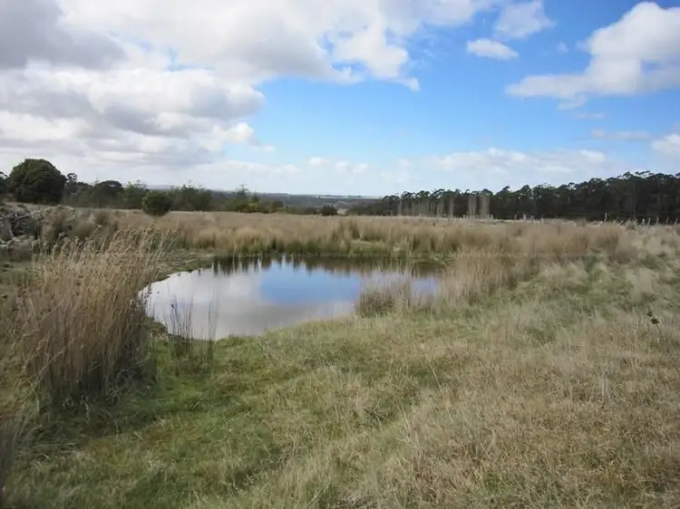 Sixth view of Homely rural property listing, 56 Priestleys Lane, Birralee TAS 7303