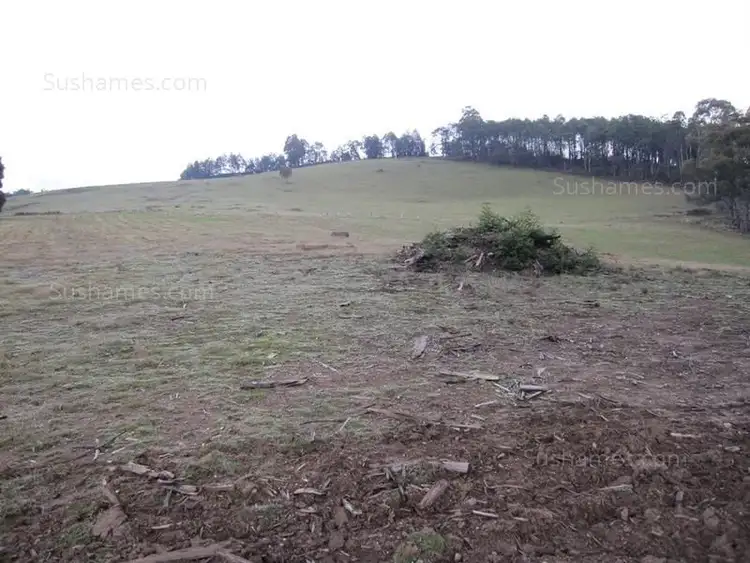 Seventh view of Homely land listing, 1 Nook Road, Nook TAS 7306