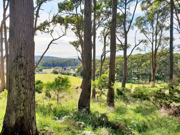 Lot 4 Chaplins Road, Northdown TAS 7307