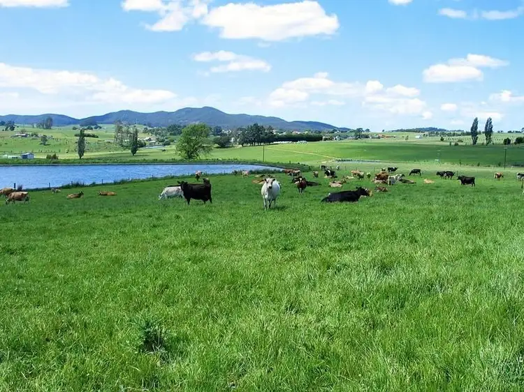 Main view of Homely rural property listing, 132A West Kentish Road, Sheffield TAS 7306