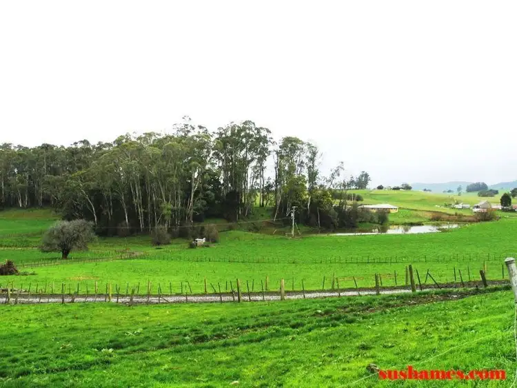 Fifth view of Homely rural property listing, 132A West Kentish Road, Sheffield TAS 7306