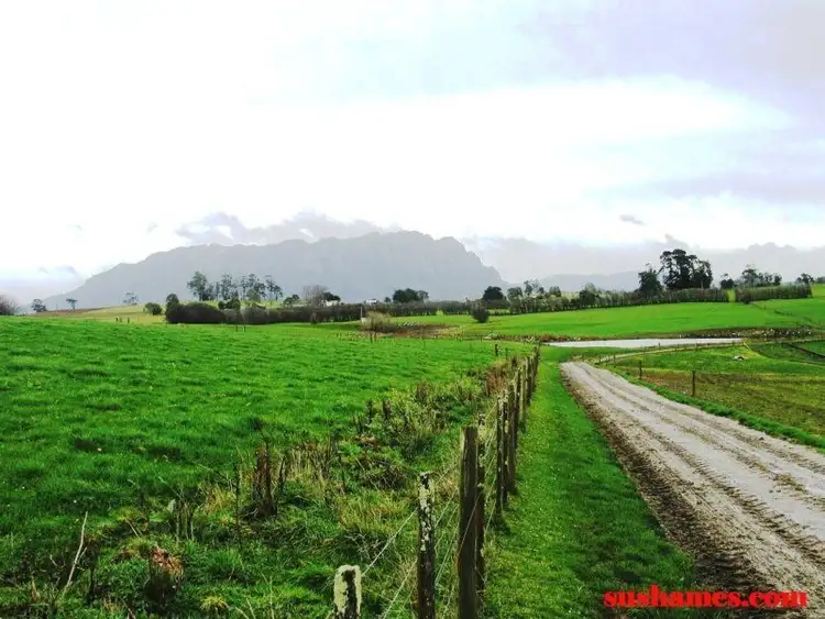 Sixth view of Homely rural property listing, 132A West Kentish Road, Sheffield TAS 7306