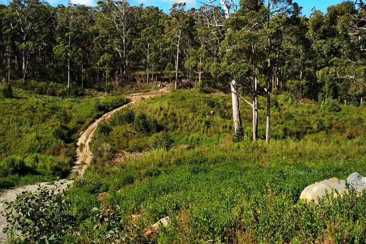 Second view of Homely land listing, Lot 19 Forest Heights Drive, Tugrah TAS 7310