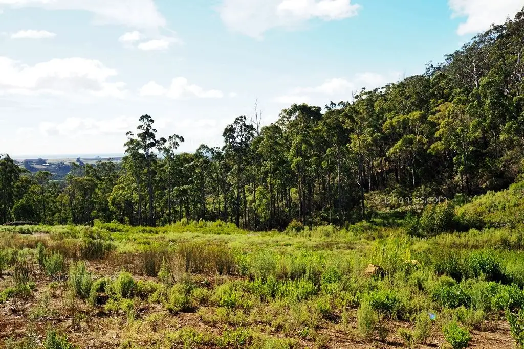 Main view of Homely land listing, Lot 20 Forest Heights Drive, Tugrah TAS 7310