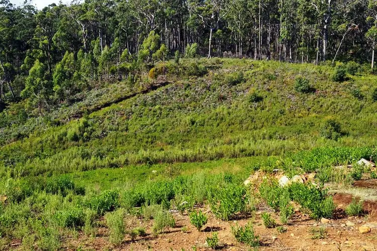 Fourth view of Homely land listing, Lot 20 Forest Heights Drive, Tugrah TAS 7310