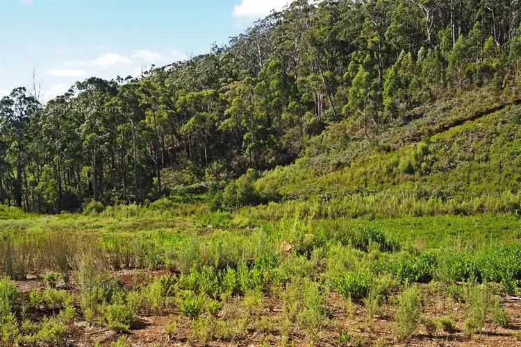 Fifth view of Homely land listing, Lot 20 Forest Heights Drive, Tugrah TAS 7310