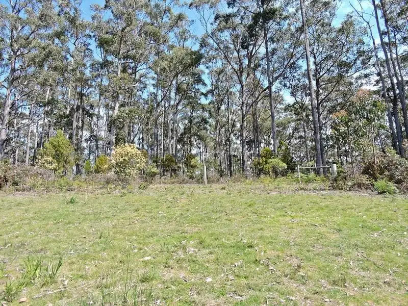 Main view of Homely land listing, Lot 7 Mangana Drive, Tugrah TAS 7310