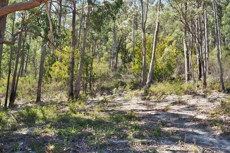 Second view of Homely rural property listing, 349 Tugrah Road, Tugrah TAS 7310