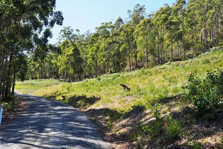 Third view of Homely rural property listing, 349 Tugrah Road, Tugrah TAS 7310