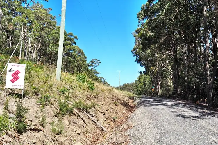 Fifth view of Homely rural property listing, 349 Tugrah Road, Tugrah TAS 7310