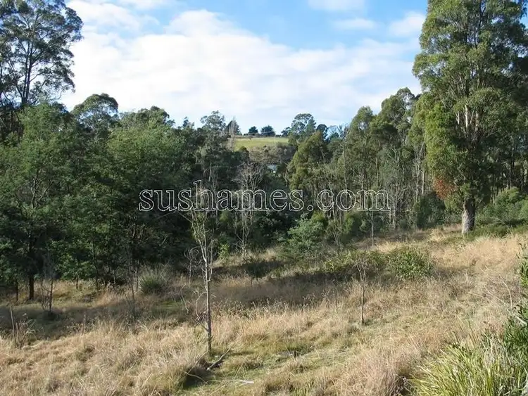 Seventh view of Homely rural property listing, 83 Kellys Cage Road, Weegena TAS 7304