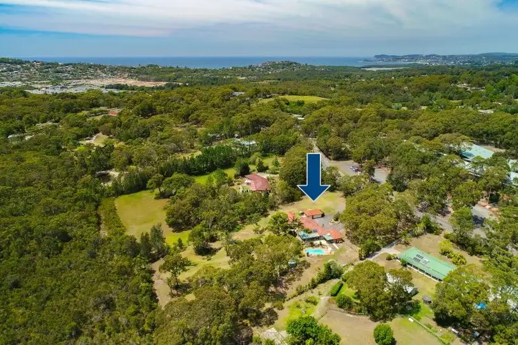 Second view of Homely rural property listing, 155 Bellevue Road, Tumbi Umbi NSW 2261