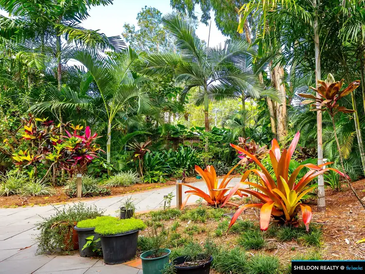 4 Egmont Close, Clifton Beach QLD 4879