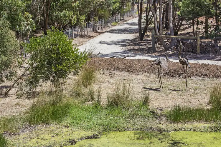 Fourth view of Homely rural property listing, 51 Graham Lane, Connewarre VIC 3227