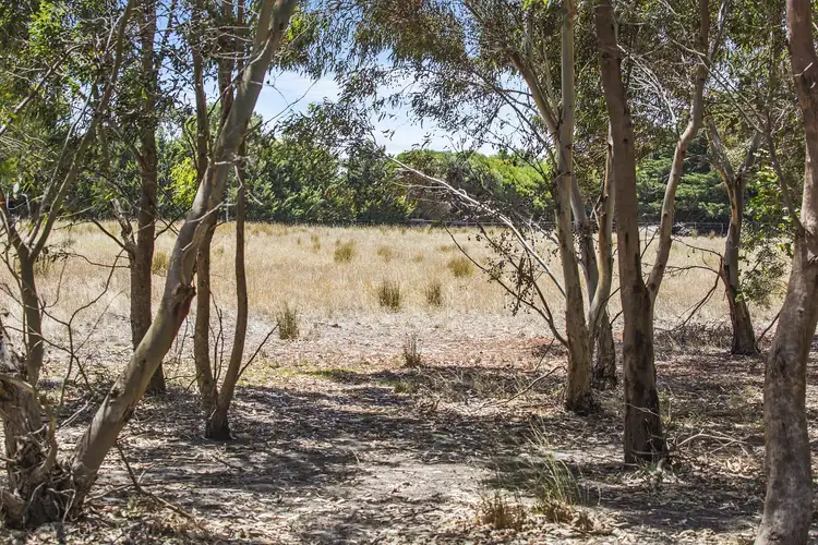 Fifth view of Homely rural property listing, 51 Graham Lane, Connewarre VIC 3227