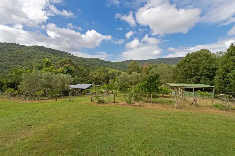 Main view of Homely rural property listing, 244 Cedar Creek Rd, Cedar Creek QLD 4207