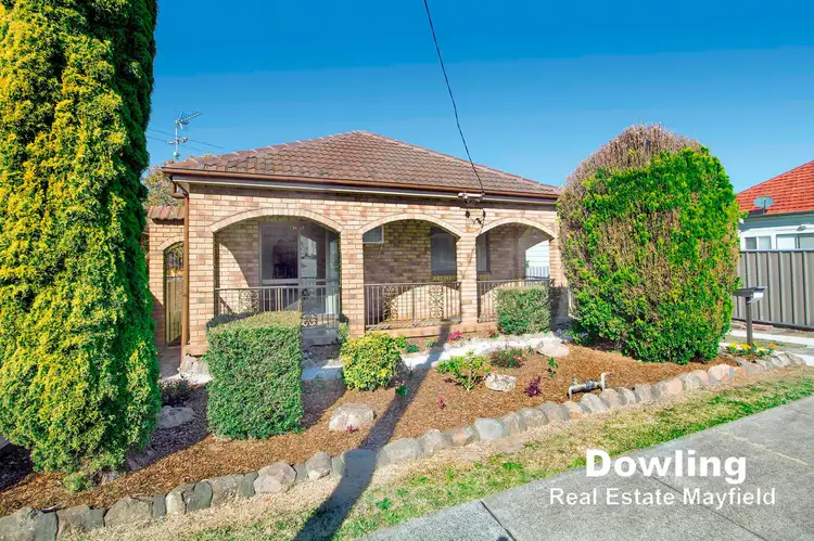 44 Carandotta Street, Mayfield West NSW 2304