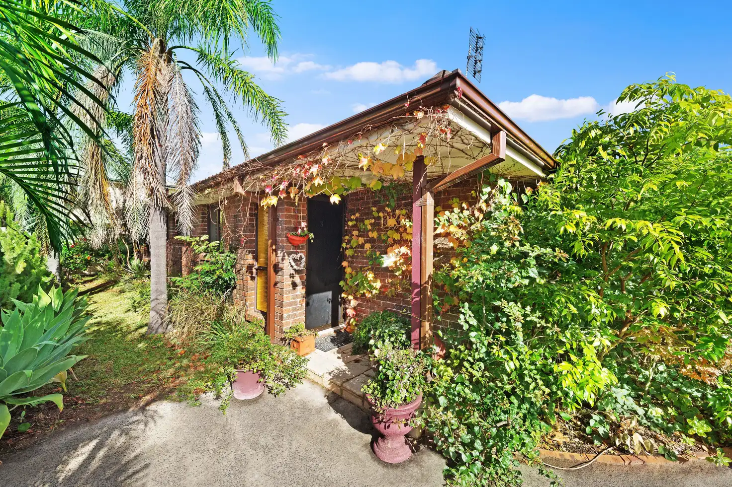 Main view of Homely villa listing, 3/180 West Street, Umina Beach NSW 2257