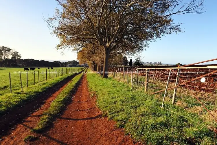 Second view of Homely rural property listing, 189 Beer Street, Wesley Vale TAS 7307