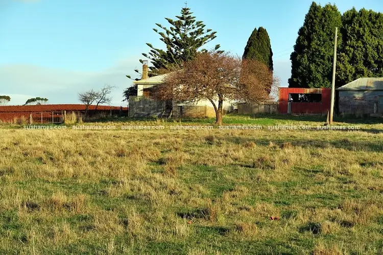 Fourth view of Homely rural property listing, 189 Beer Street, Wesley Vale TAS 7307