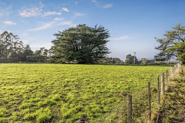 Fifth view of Homely rural property listing, 114 Fernleigh Road, Caveside TAS 7304