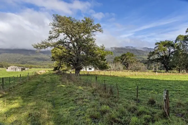 Sixth view of Homely rural property listing, 114 Fernleigh Road, Caveside TAS 7304