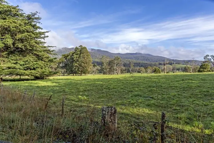 Seventh view of Homely rural property listing, 114 Fernleigh Road, Caveside TAS 7304
