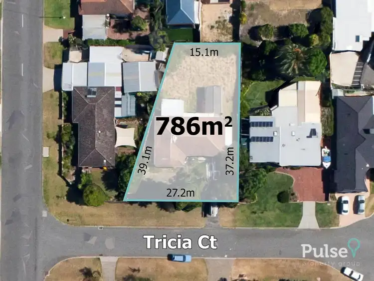 4 Tricia Court, Shelley WA 6148