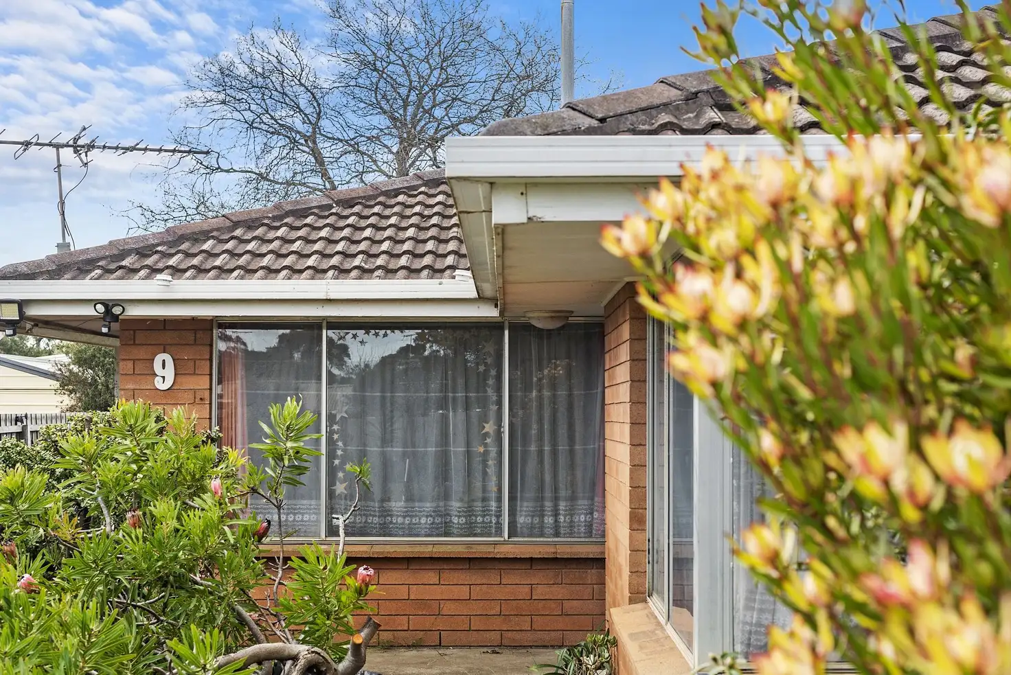 Main view of Homely house listing, 9 Wilkinson Court, Ocean Grove VIC 3226