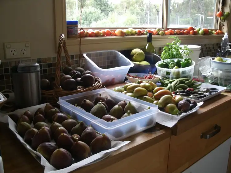 Fourth view of Homely rural property listing, 141 Old Berrara Road, Sussex Inlet NSW 2540