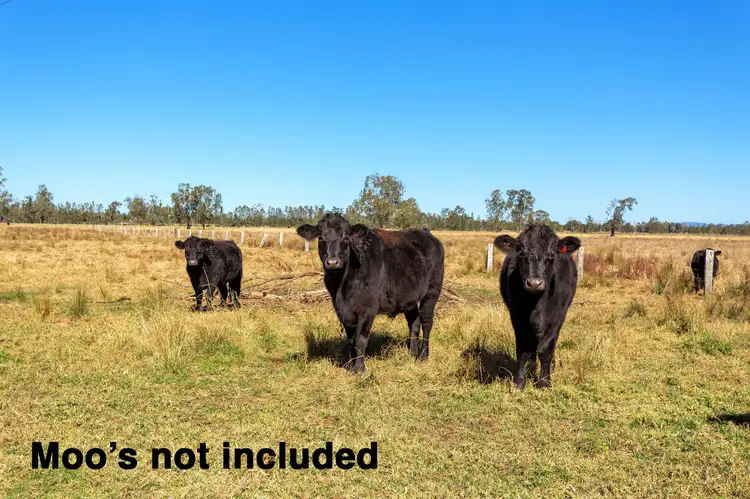 Fourth view of Homely rural property listing, 803 Moto Road, Moto NSW 2426