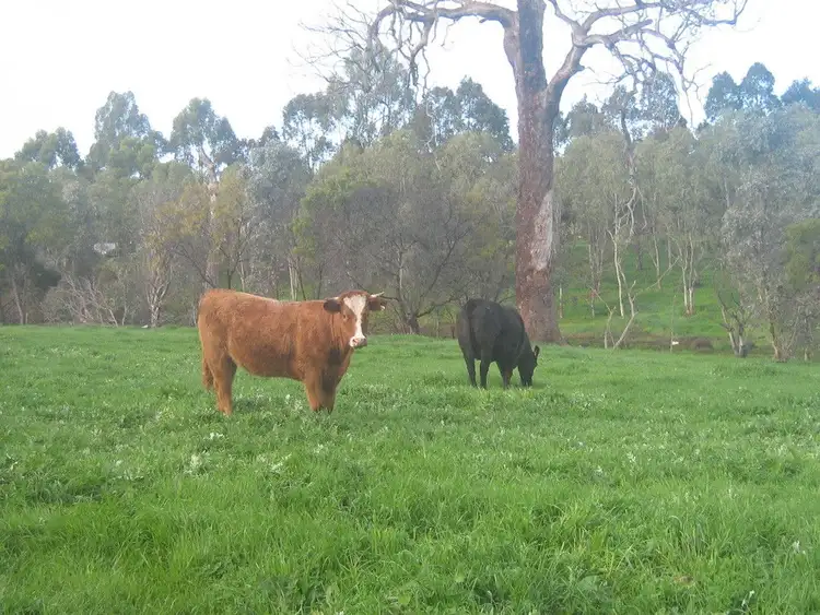 Second view of Homely rural property listing, 488 Haynesdale Road, Frankland River WA 6396