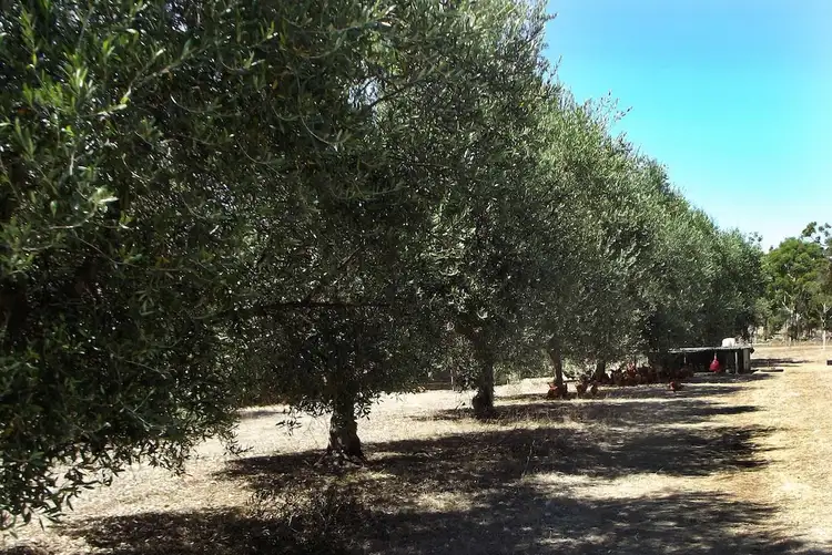 Seventh view of Homely rural property listing, 488 Haynesdale Road, Frankland River WA 6396