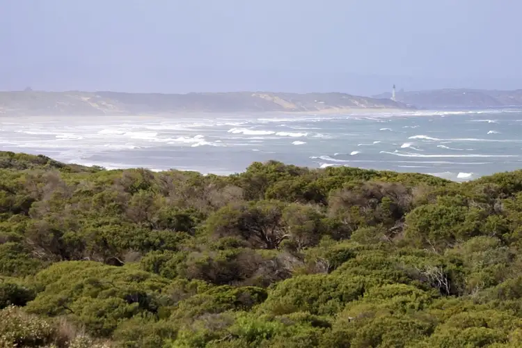 Second view of Homely house listing, 109 Orton Street, Ocean Grove VIC 3226