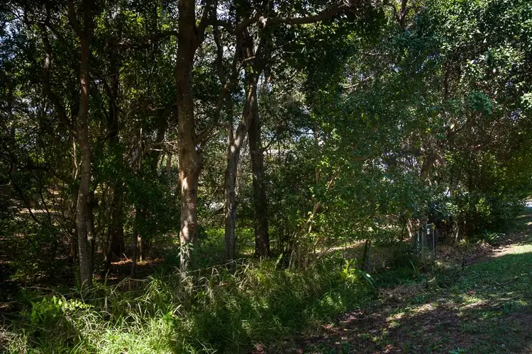 Third view of Homely land listing, 22 Midjimberry Road, Point Lookout QLD 4183