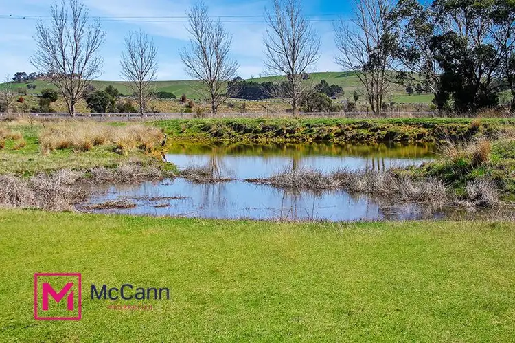 145 Collector Road, Gunning NSW 2581