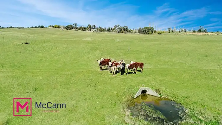 Sixth view of Homely land listing, 145 Collector Road, Gunning NSW 2581