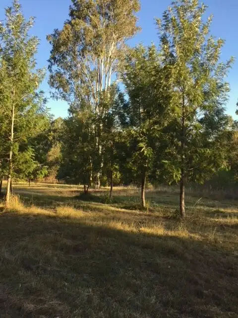 Fifth view of Homely rural property listing, 596 Clearview Road, Blaxlands Creek NSW 2460