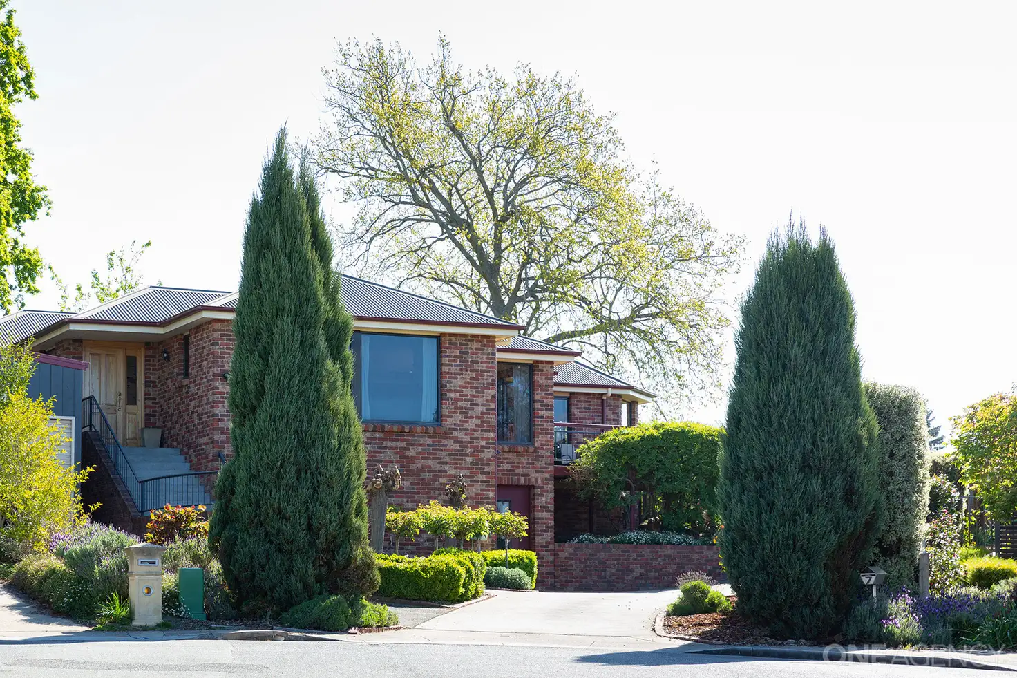 Main view of Homely house listing, 7 Treviso Court, Kings Meadows TAS 7249