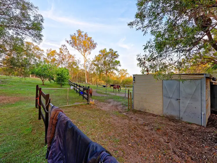 Seventh view of Homely rural property listing, 14 Woods Road, Sharon QLD 4670