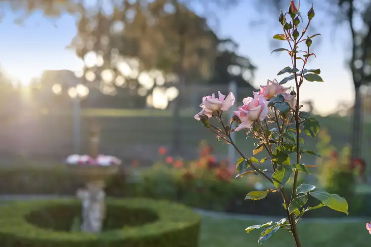 Third view of Homely house listing, 96 Country Club Drive, Clifton Springs VIC 3222