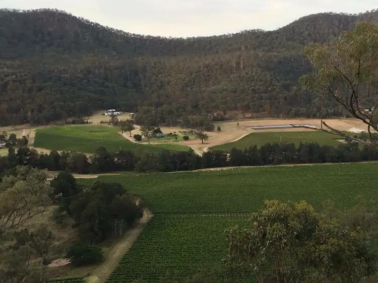 203 Thompsons Road, Milbrodale NSW 2330