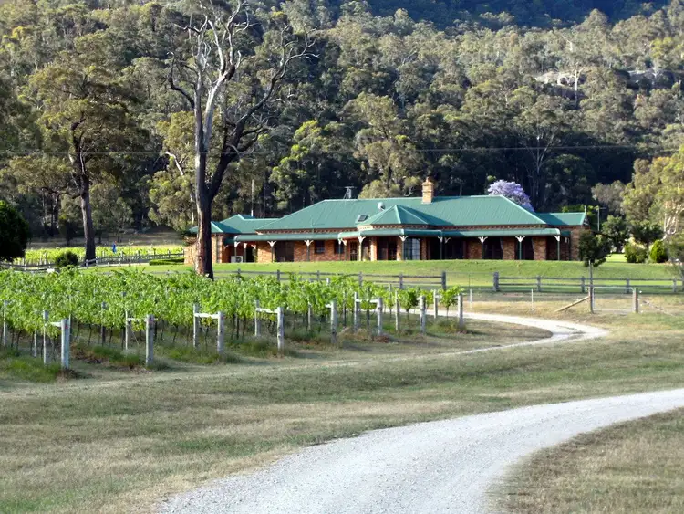 Fifth view of Homely rural property listing, 203 Thompsons Road, Milbrodale NSW 2330