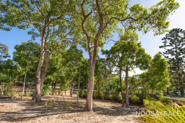 Main view of Homely house listing, 5 Moonare Crescent, Noosa Heads QLD 4567